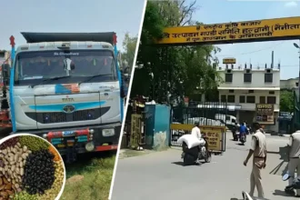 Haldwani Strictness of Mandi Committee Tightened noose on transportation of illegal goods