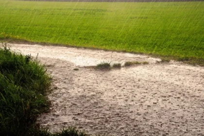 Alert issued in seven districts including Dauradun due to rain again in Uttarakhand! (1)