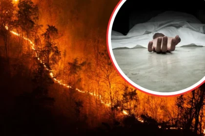 Forest fire in Uttarakhand, 4 forest department employees burnt alive!