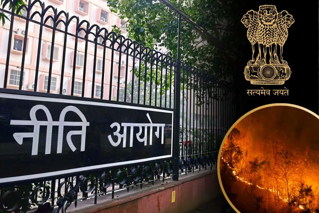 NITI Aayog will form joint working group to stop forest fire