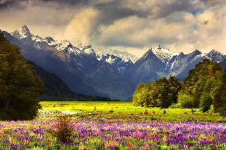 World famous 'Valley of Flowers' will open for tourists from today